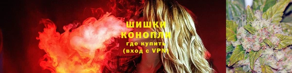 ECSTASY Магас