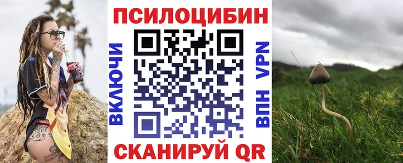 мега   Муром  Галлюциногенные грибы Magic Shrooms 