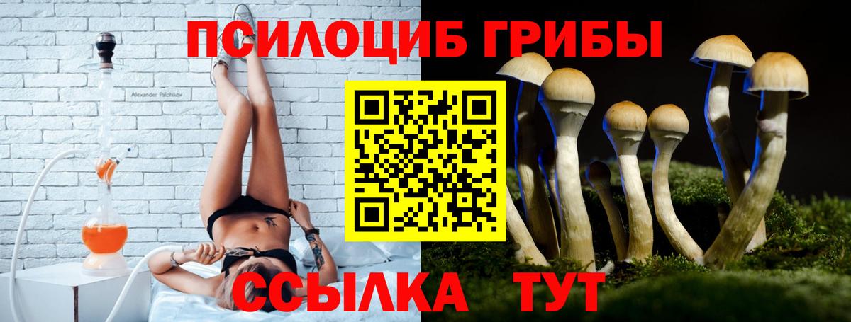Муром  Галлюциногенные грибы MAGIC MUSHROOMS  Вход с VPN 