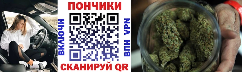 Конопля SATIVA & INDICA  Муром 